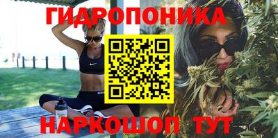 гидра Пенза