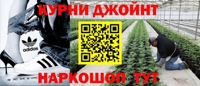 гидра Пенза