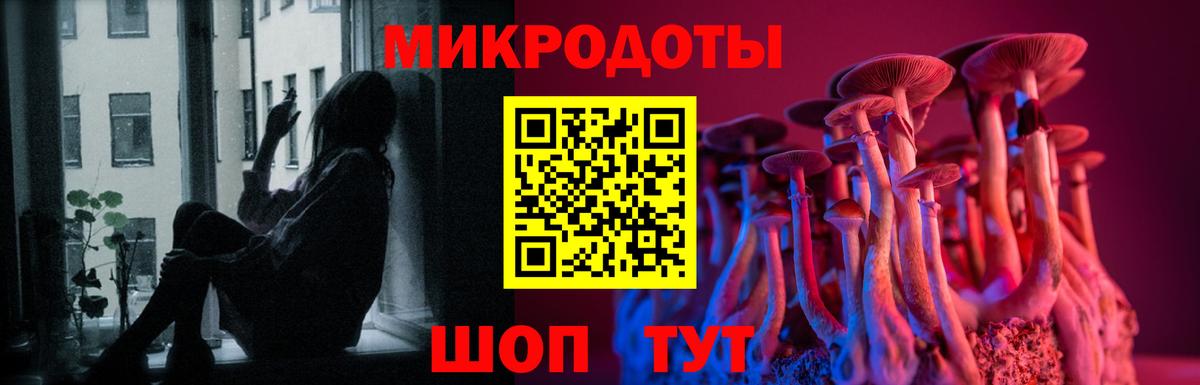 Галлюциногенные грибы мухоморы  Псилоцибиновые грибы Psilocybe  Сорочинск  Вход с VPN 