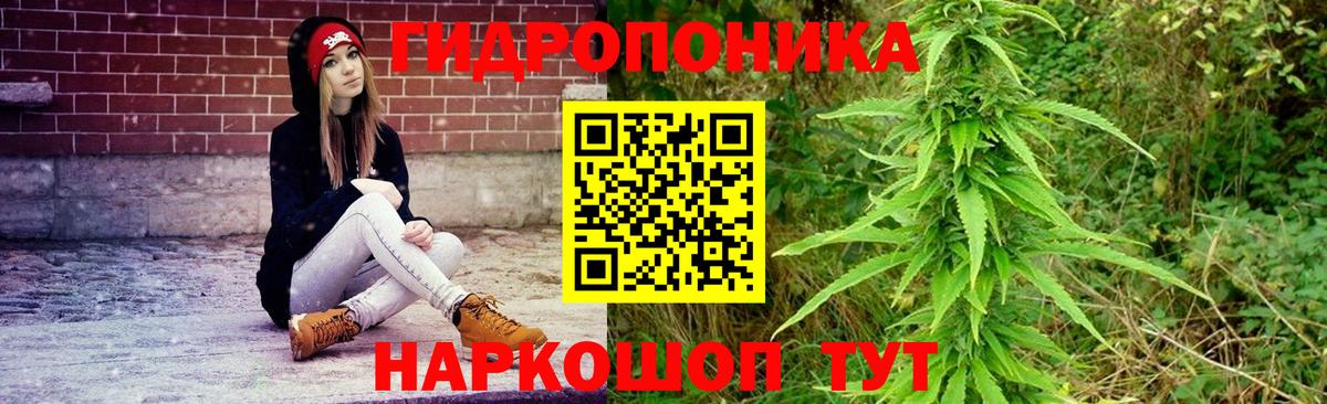 Шишки марихуана тримм  Вход с VPN  Бошки марихуана ГИДРОПОН  Сорочинск  Канабис Bruce Banner 